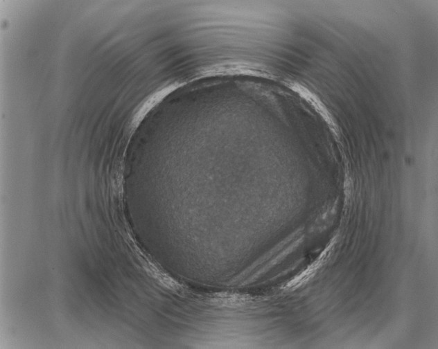 X0000087681081200705181724