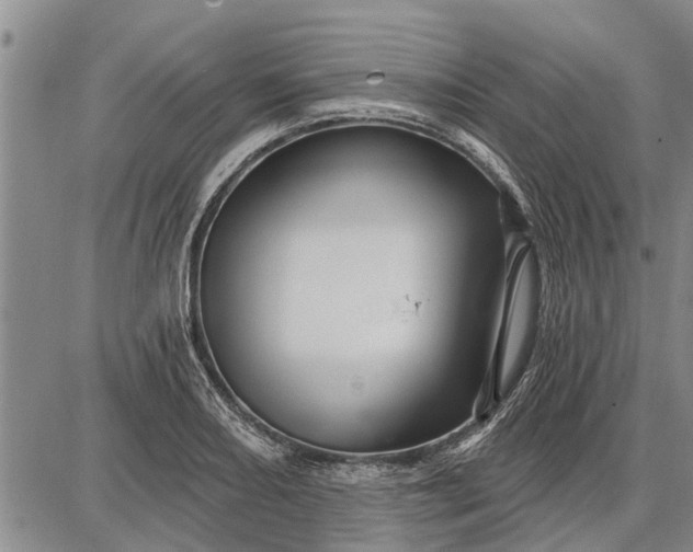 X0000087681082200705181724