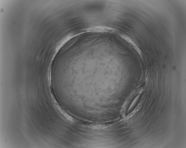 X0000087681083200705181724