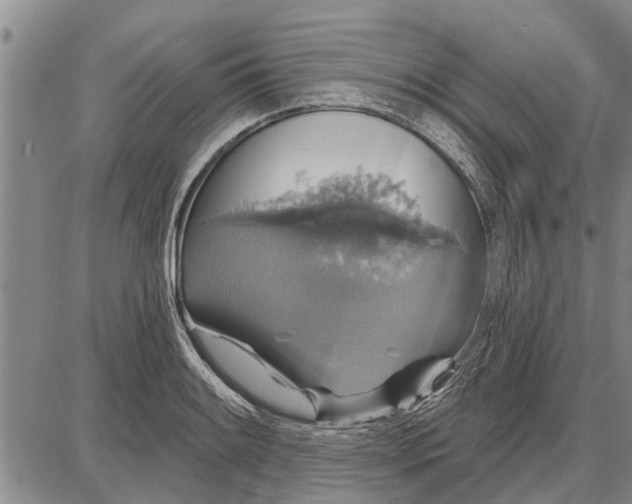 X0000087681084200705181724