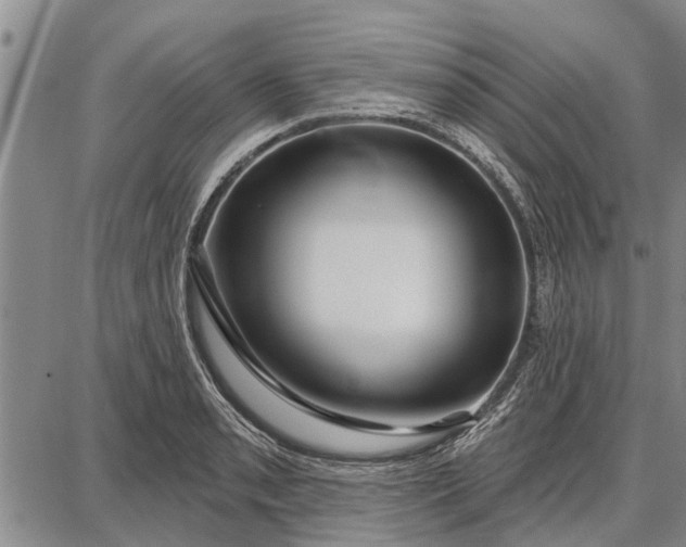 X0000087681085200705181724