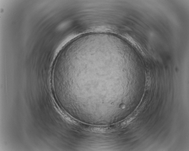 X0000087681086200705181723