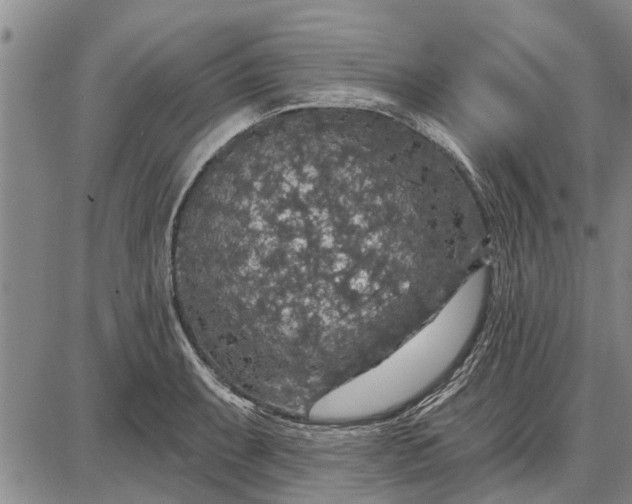 X0000087681087200705181723