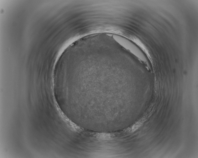 X0000087681088200705181723