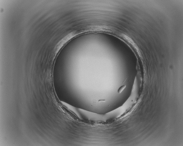 X0000087681089200705181723