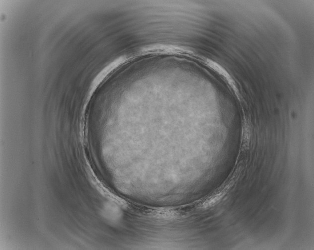 X0000087681090200705181723