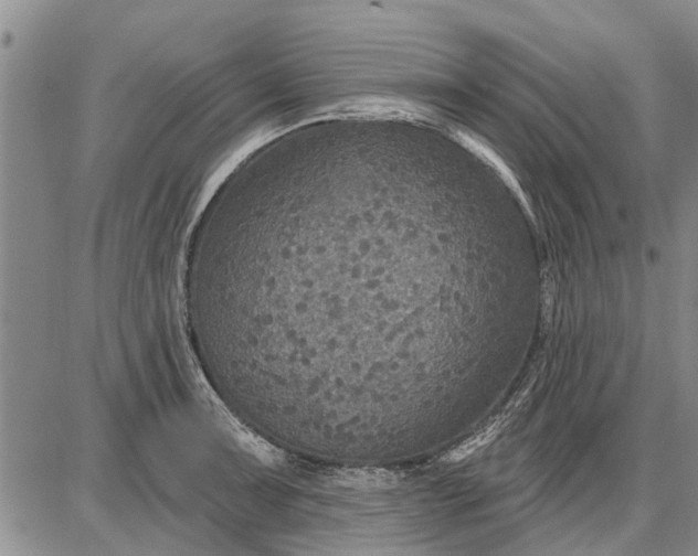 X0000087681091200705181723