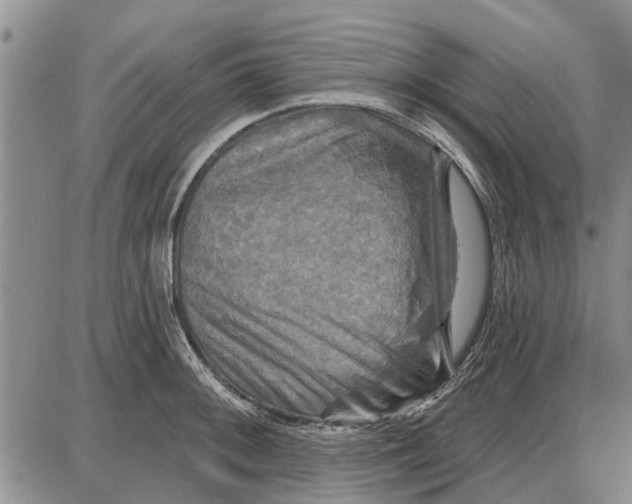 X0000087681092200705181723