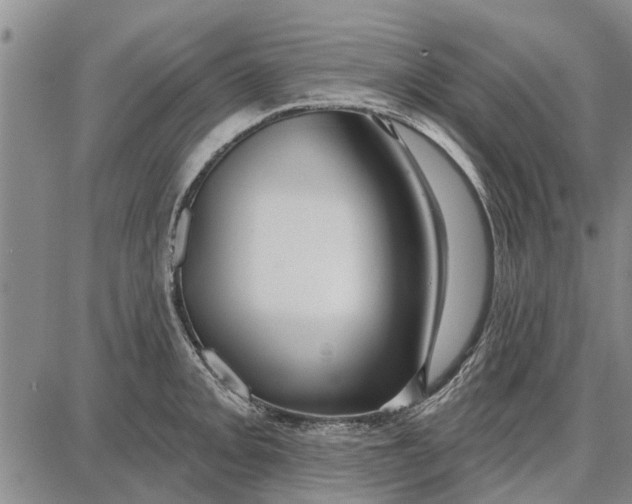 X0000087681093200705181723