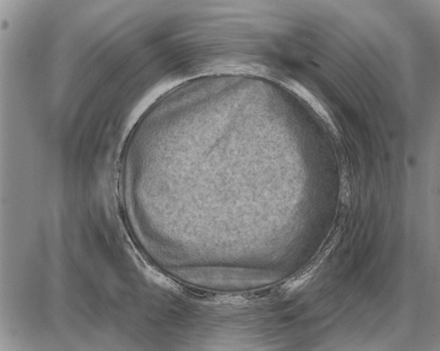 X0000087681094200705181723