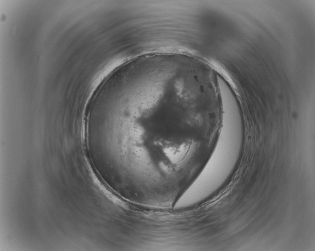 X0000087681095200705181723