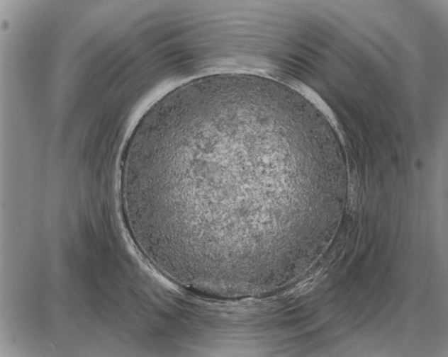 X0000087681096200705181723