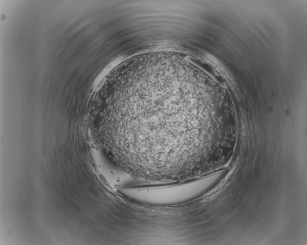 X0000087681097200705181723