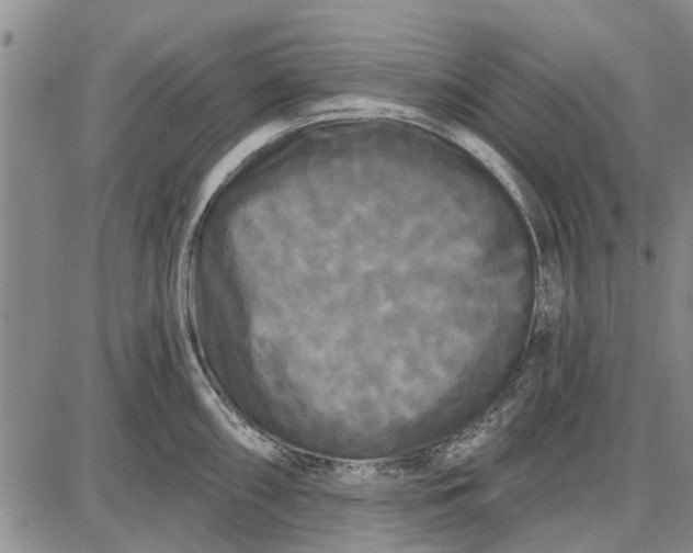 X0000087681098200705181723