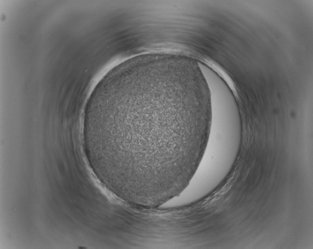 X0000087681099200705181723