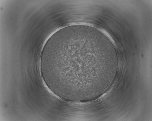 X0000087681100200705181723