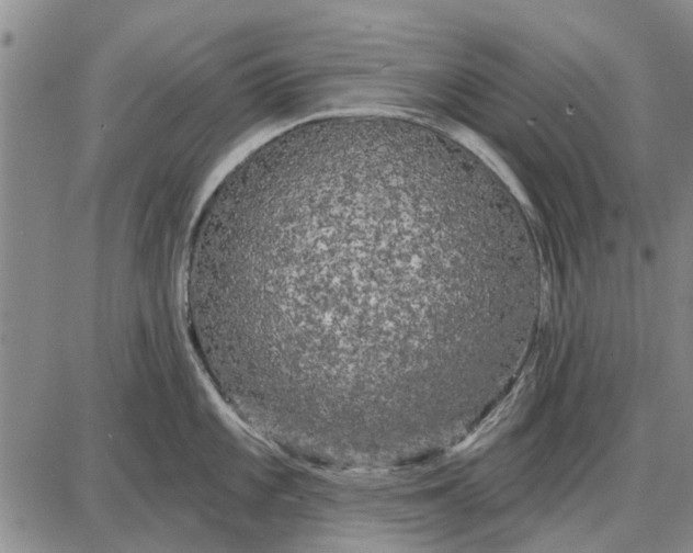 X0000087681101200705181723