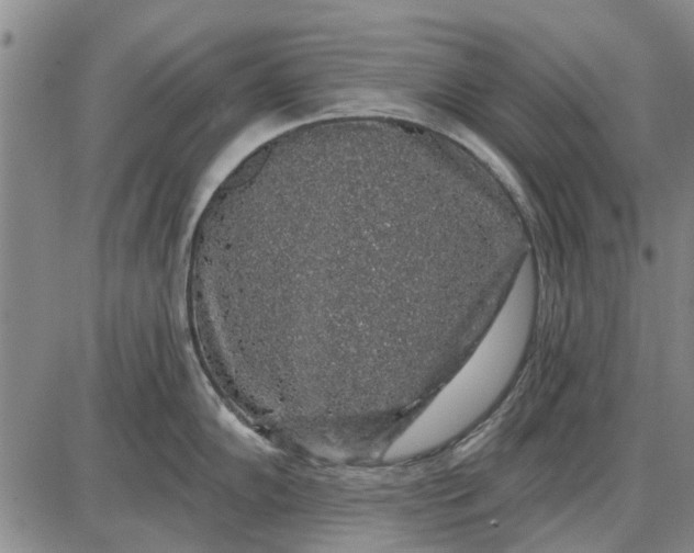 X0000087681102200705181723