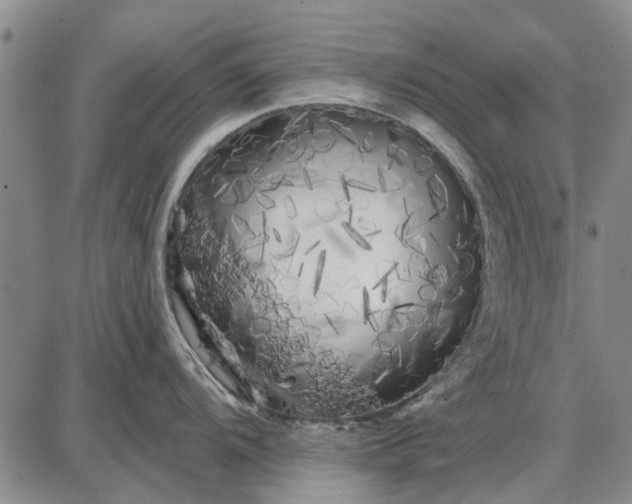 X0000087681104200705181723