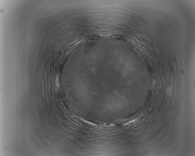 X0000087681106200705181722