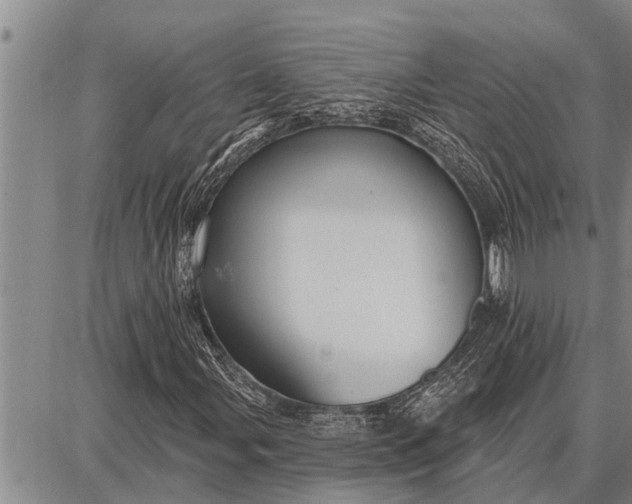 X0000087681107200705181722