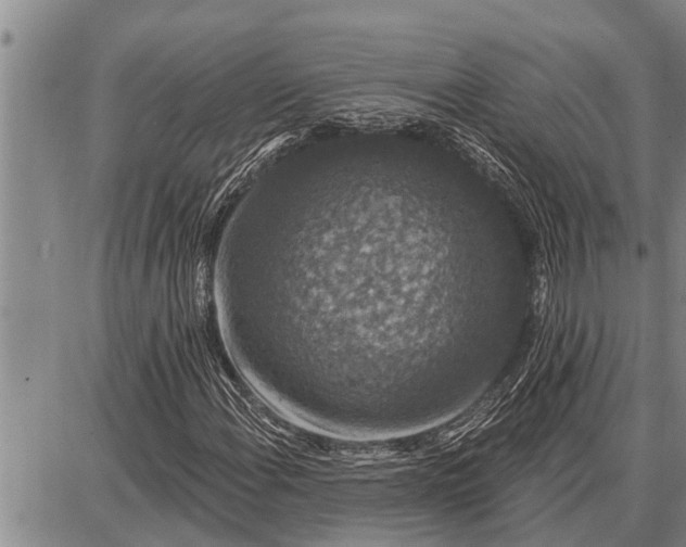 X0000087681108200705181722