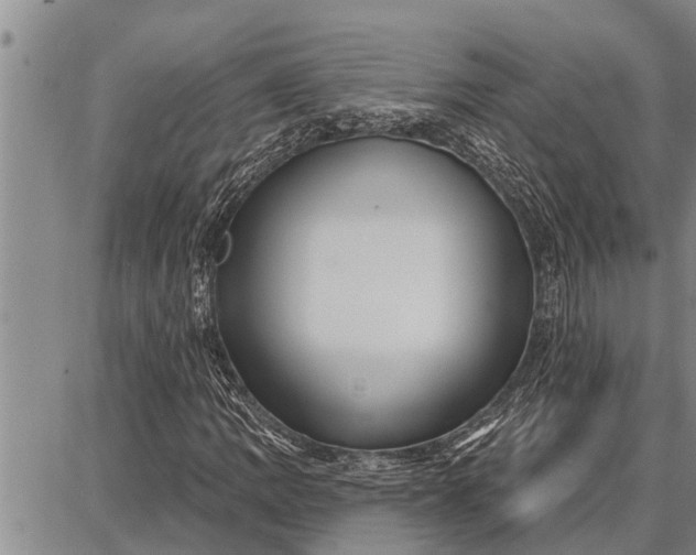 X0000087681109200705181722