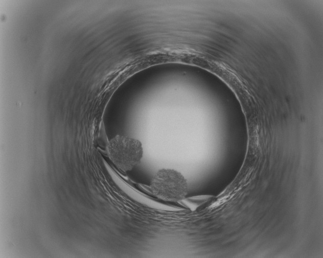 X0000087681110200705181723