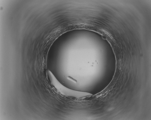 X0000087681111200705181723