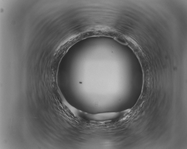 X0000087681112200705181723