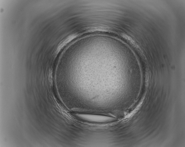 X0000087681113200705181723