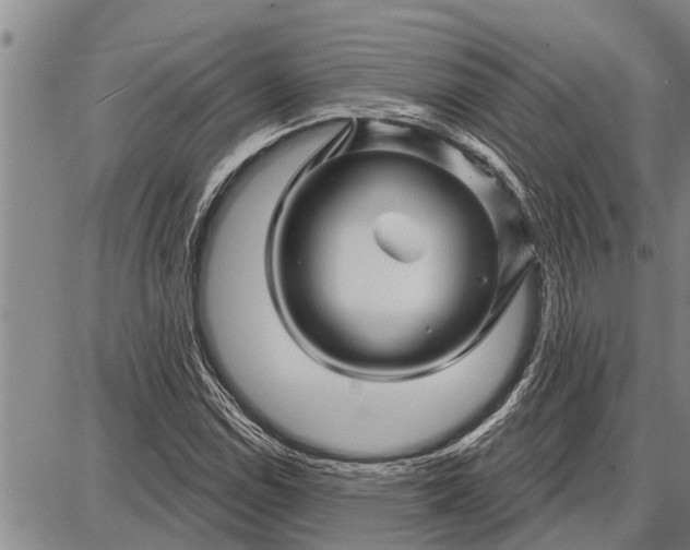 X0000087681114200705181723