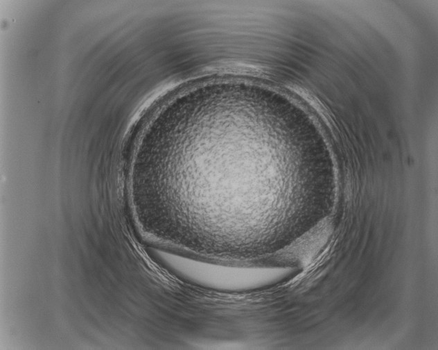 X0000087681115200705181723