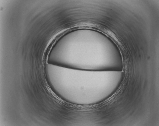 X0000087681116200705181723