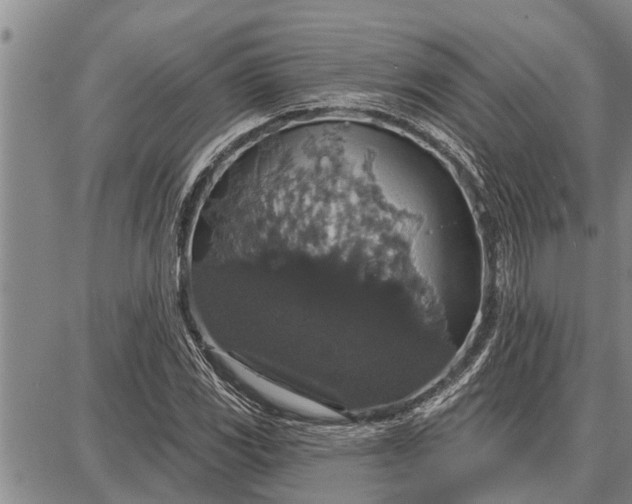 X0000087681117200705181723