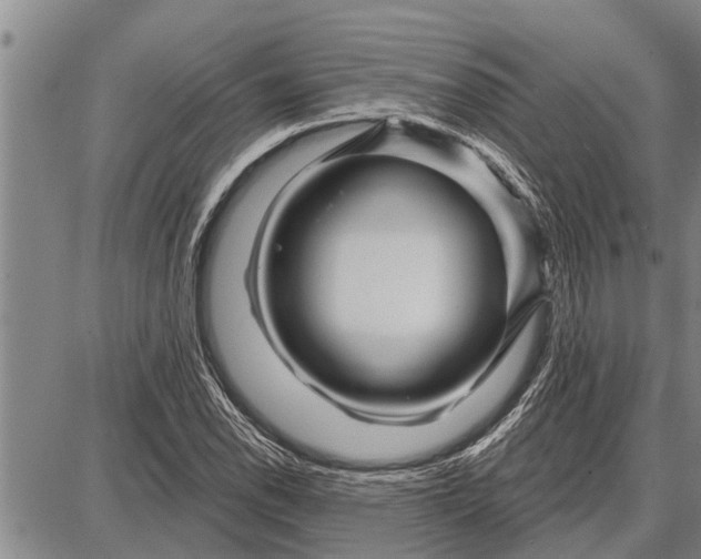 X0000087681118200705181723