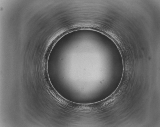 X0000087681119200705181723