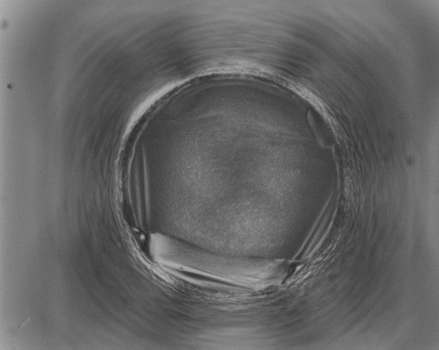 X0000087681120200705181723