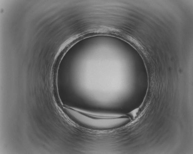 X0000087681122200705181723