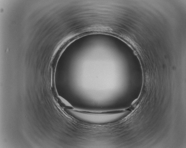 X0000087681123200705181723