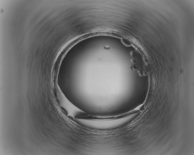 X0000087681124200705181723