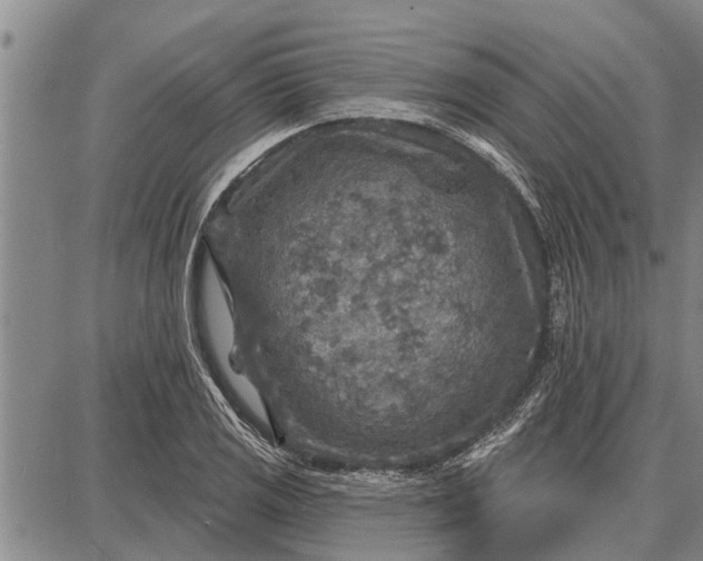 X0000087681125200705181723