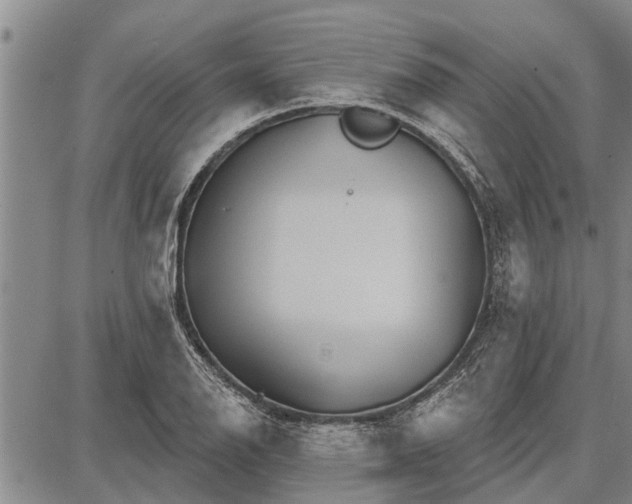 X0000087681126200705181723