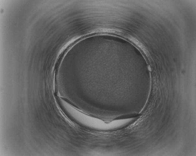 X0000087681127200705181723