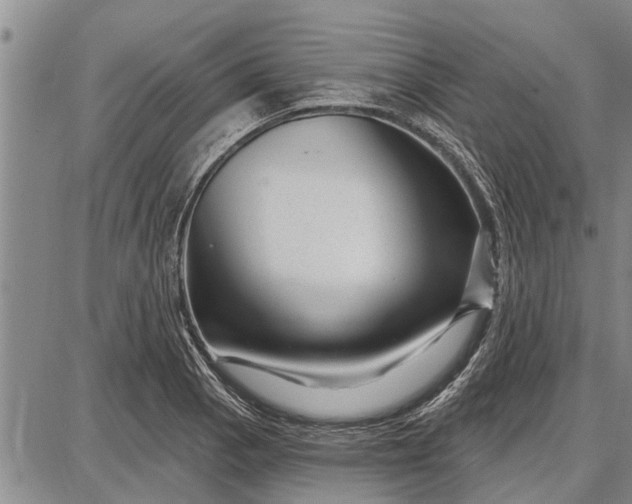 X0000087681129200705181723