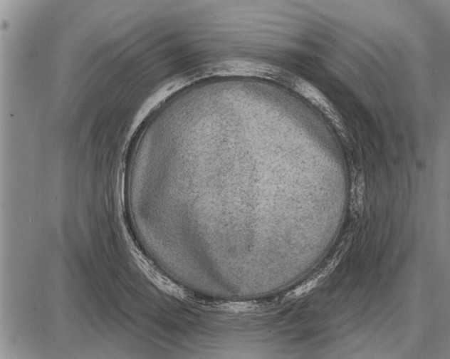 X0000087681130200705181723