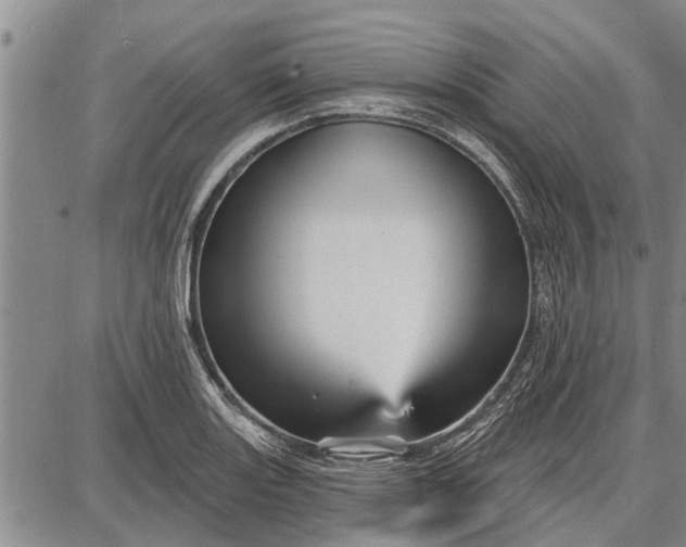 X0000087681131200705181723