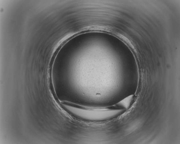 X0000087681133200705181723