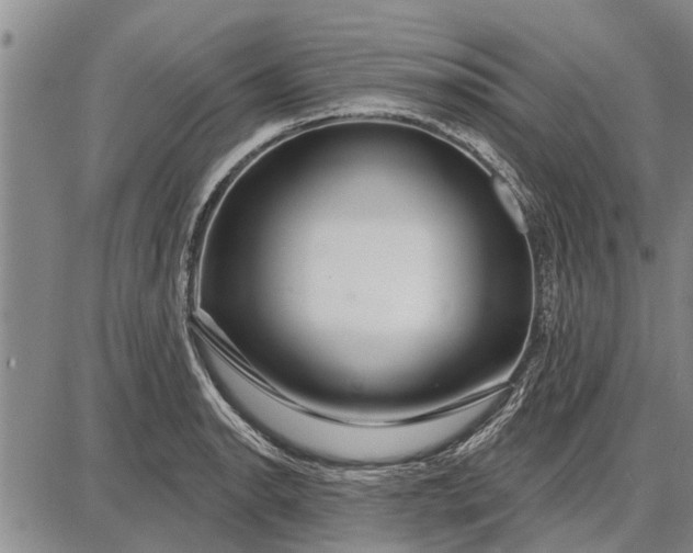 X0000087681134200705181723