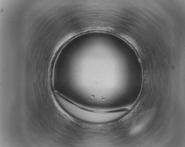 X0000087681135200705181723